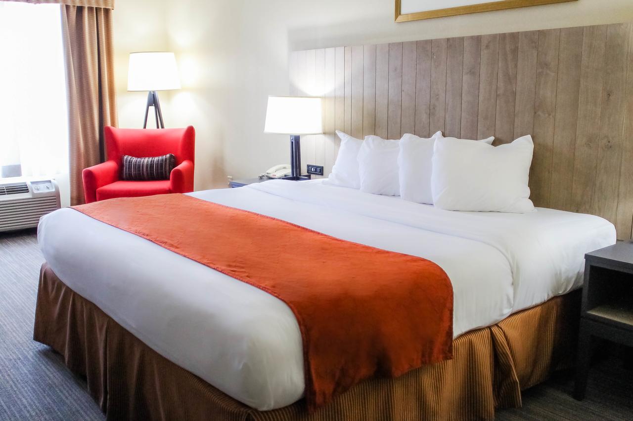 Country Inn & Suites By Radisson, Chester, Va Eksteriør billede